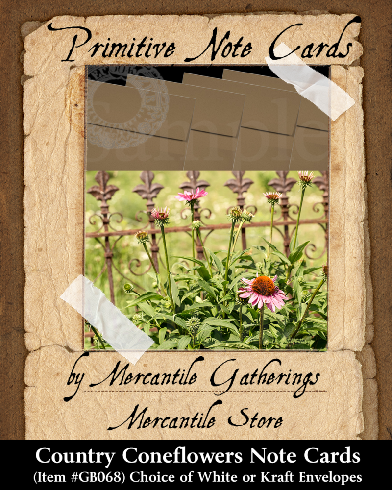 Mercantile Gatherings Note Card - Country Coneflowers GB068