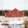 Rustic Red Barn Note Cards