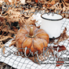 Country Rustic Magazine
